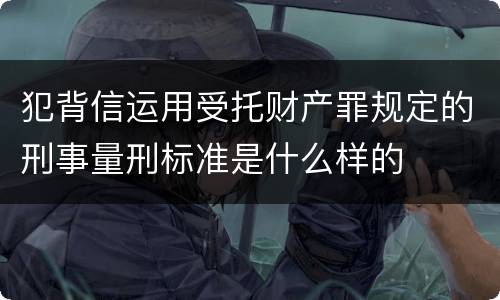 犯背信运用受托财产罪规定的刑事量刑标准是什么样的