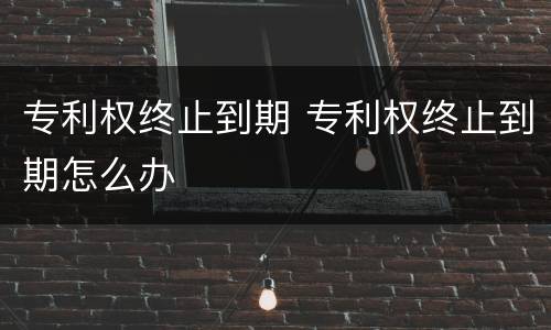 专利权终止到期 专利权终止到期怎么办
