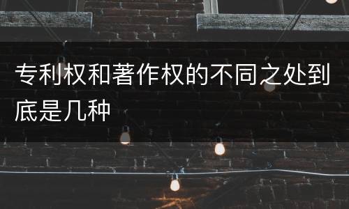 专利权和著作权的不同之处到底是几种