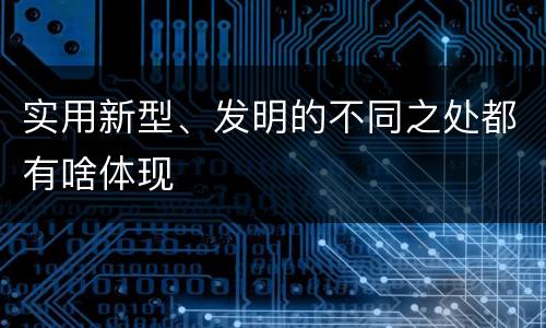 实用新型、发明的不同之处都有啥体现