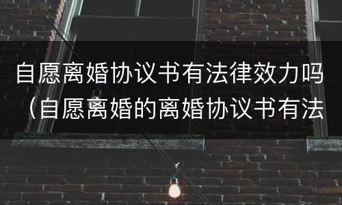 自愿离婚协议书有法律效力吗（自愿离婚的离婚协议书有法律效力吗）
