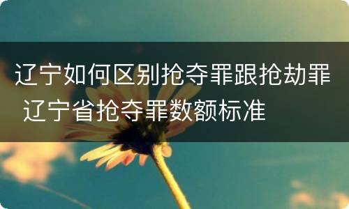 辽宁如何区别抢夺罪跟抢劫罪 辽宁省抢夺罪数额标准