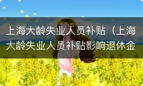 上海大龄失业人员补贴（上海大龄失业人员补贴影响退休金吗）