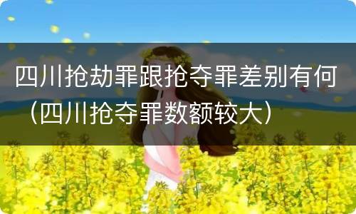 四川抢劫罪跟抢夺罪差别有何（四川抢夺罪数额较大）