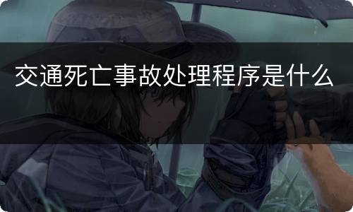 交通死亡事故处理程序是什么