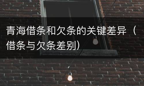青海借条和欠条的关键差异（借条与欠条差别）