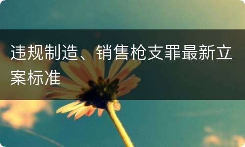 违规制造、销售枪支罪最新立案标准