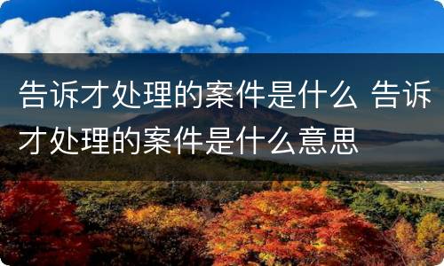 告诉才处理的案件是什么 告诉才处理的案件是什么意思