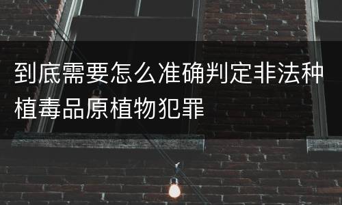 到底需要怎么准确判定非法种植毒品原植物犯罪