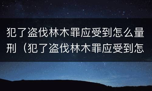 犯了盗伐林木罪应受到怎么量刑（犯了盗伐林木罪应受到怎么量刑呢）
