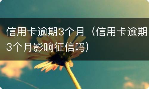 信用卡逾期3个月（信用卡逾期3个月影响征信吗）