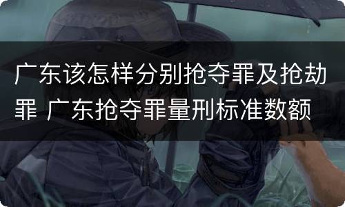 广东该怎样分别抢夺罪及抢劫罪 广东抢夺罪量刑标准数额