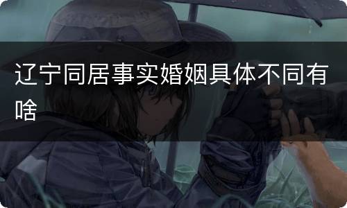 辽宁同居事实婚姻具体不同有啥