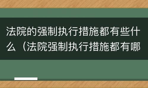 法院的强制执行措施都有些什么（法院强制执行措施都有哪些）