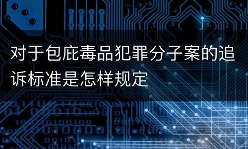 对于包庇毒品犯罪分子案的追诉标准是怎样规定