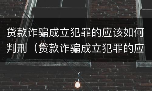 贷款诈骗成立犯罪的应该如何判刑（贷款诈骗成立犯罪的应该如何判刑呢）