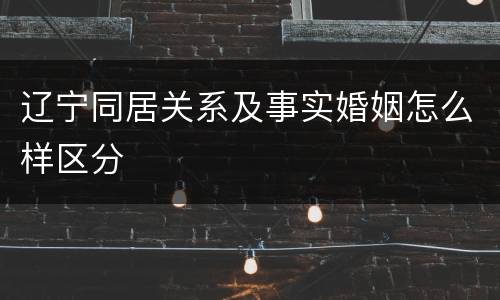 辽宁同居关系及事实婚姻怎么样区分