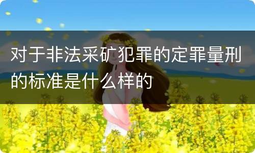 对于非法采矿犯罪的定罪量刑的标准是什么样的