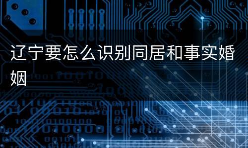 辽宁要怎么识别同居和事实婚姻