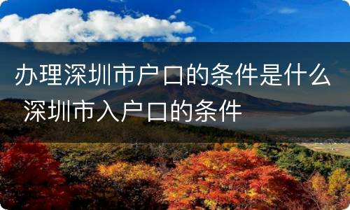 办理深圳市户口的条件是什么 深圳市入户口的条件