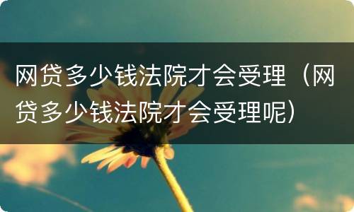 网贷多少钱法院才会受理（网贷多少钱法院才会受理呢）