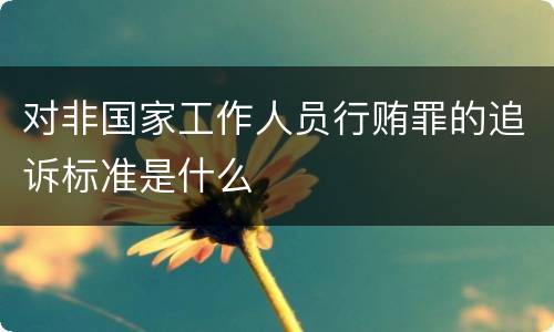 对非国家工作人员行贿罪的追诉标准是什么