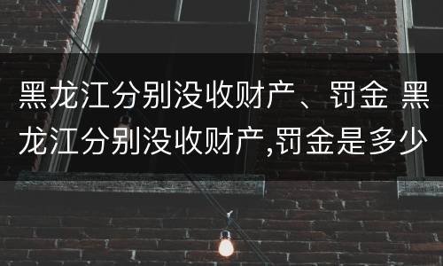 黑龙江分别没收财产、罚金 黑龙江分别没收财产,罚金是多少