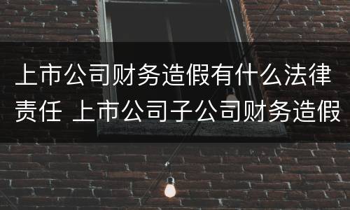 上市公司财务造假有什么法律责任 上市公司子公司财务造假法律责任