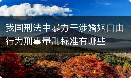 我国刑法中暴力干涉婚姻自由行为刑事量刑标准有哪些