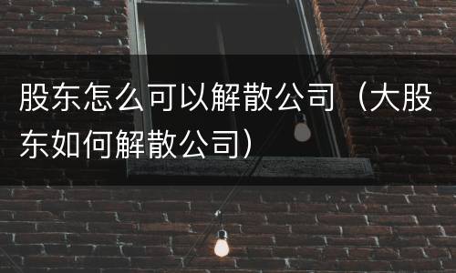 股东怎么可以解散公司（大股东如何解散公司）