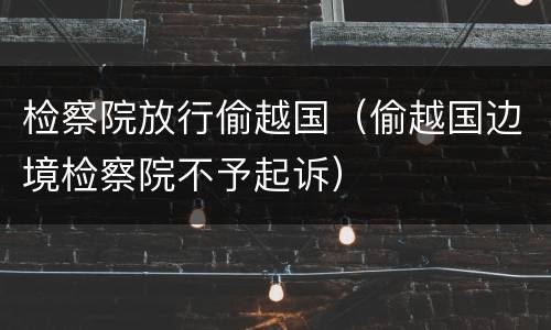 检察院放行偷越国（偷越国边境检察院不予起诉）