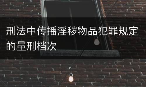 刑法中传播淫秽物品犯罪规定的量刑档次