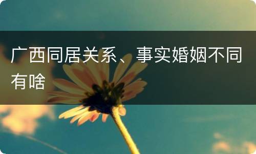 广西同居关系、事实婚姻不同有啥