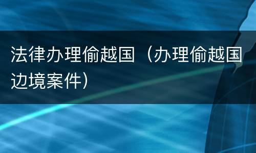 法律办理偷越国（办理偷越国边境案件）