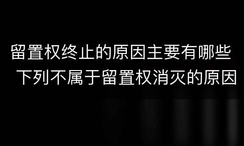 留置权终止的原因主要有哪些 下列不属于留置权消灭的原因是什么