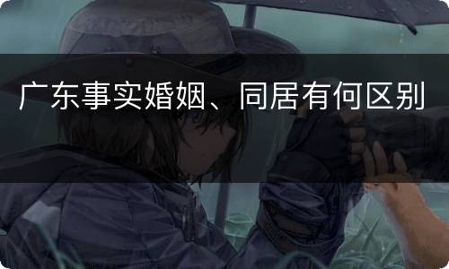 广东事实婚姻、同居有何区别