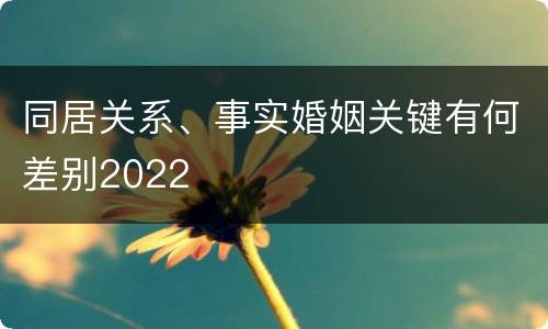 同居关系、事实婚姻关键有何差别2022