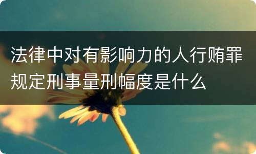 法律中对有影响力的人行贿罪规定刑事量刑幅度是什么