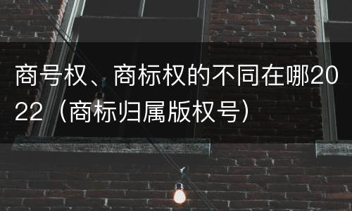 商号权、商标权的不同在哪2022（商标归属版权号）