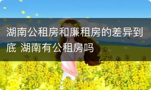 湖南公租房和廉租房的差异到底 湖南有公租房吗