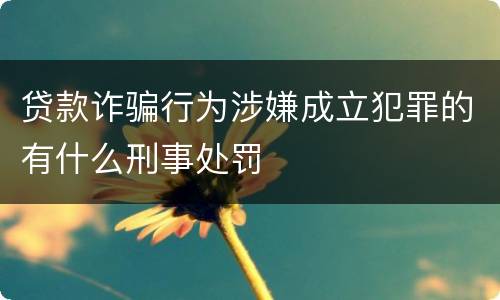 贷款诈骗行为涉嫌成立犯罪的有什么刑事处罚