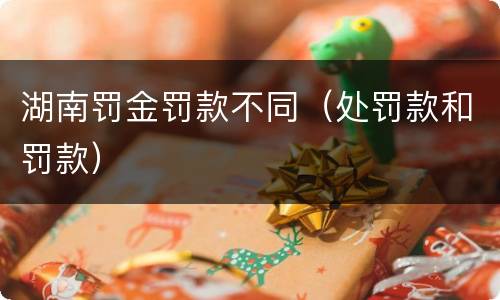 湖南罚金罚款不同（处罚款和罚款）