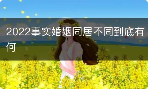 2022事实婚姻同居不同到底有何