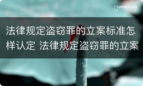 法律规定盗窃罪的立案标准怎样认定 法律规定盗窃罪的立案标准怎样认定
