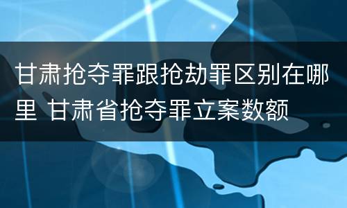 甘肃抢夺罪跟抢劫罪区别在哪里 甘肃省抢夺罪立案数额