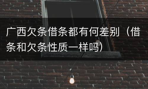 广西欠条借条都有何差别（借条和欠条性质一样吗）