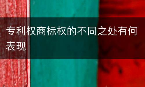 专利权商标权的不同之处有何表现