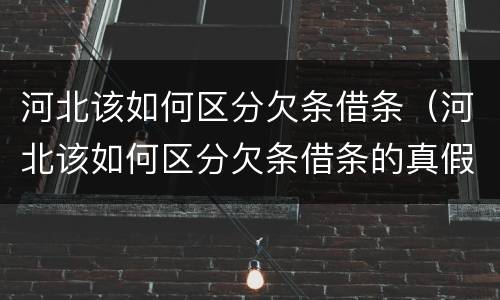 河北该如何区分欠条借条（河北该如何区分欠条借条的真假）