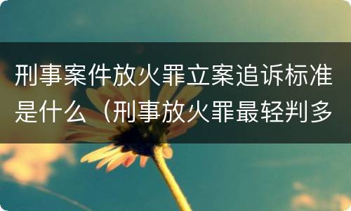 刑事案件放火罪立案追诉标准是什么（刑事放火罪最轻判多久）