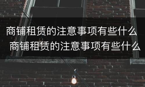 商铺租赁的注意事项有些什么 商铺租赁的注意事项有些什么呢